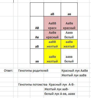 Красная окраска луковицы лука определяется доминантным геном, желтая – его рецессивным аллелем. одна