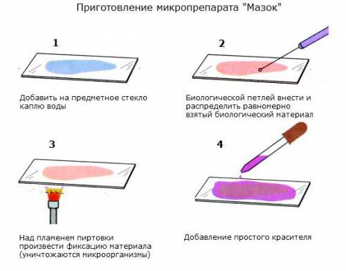 Устройство микроскопа приготовления микропрепарата