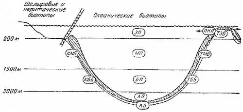 Схема конвективного перемешивания вод океана