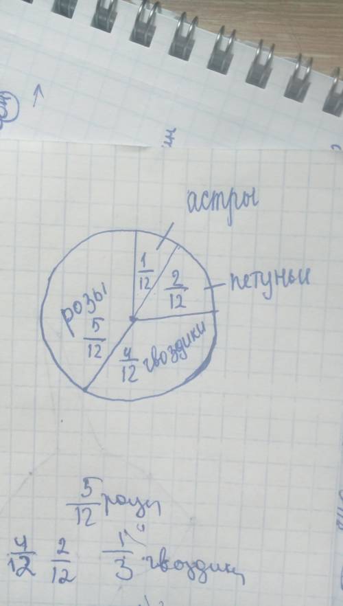 Втеплице посадили цветы. из них 5/12 составляет розы, 1/3 гвоздики, 1/6 петунии, остальные астры. на