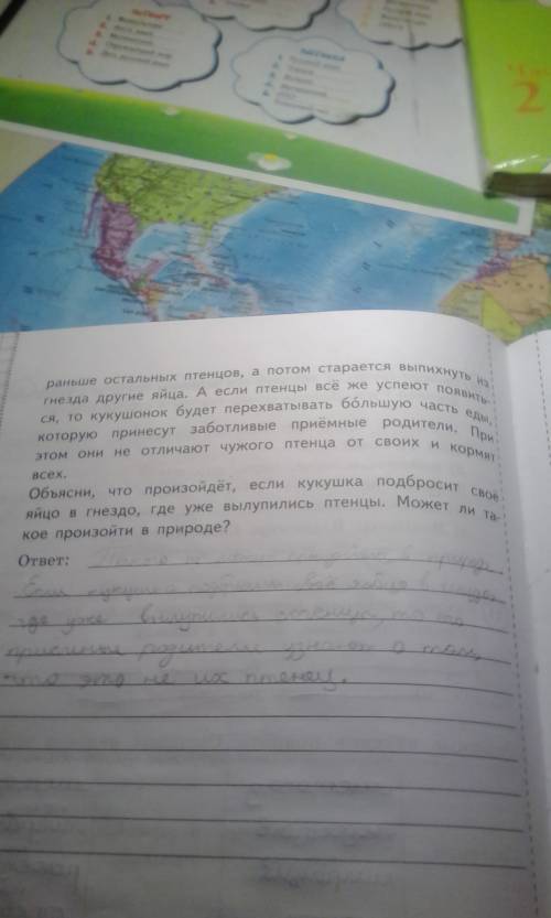 Какие будут вопросы всероссийской проверочные работы по окружающему миру 4 класс 1 вариант