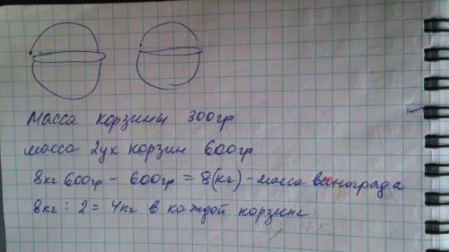 Как решить масса двух одинаковых корзин с виноградом 8кг. 600г. сколько килограммов винограда в кажд