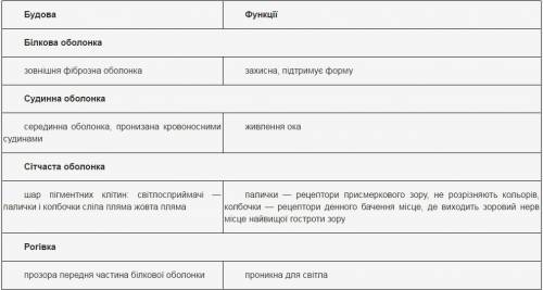 Опишіть будову та функціонування сенсорної системи