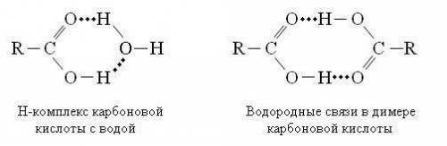 Покажите образование водородной связи между молекулами кислот заранее