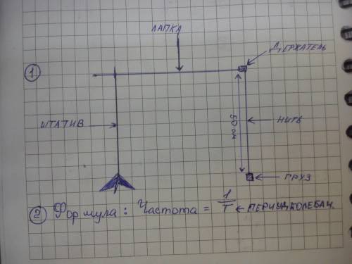 Используя штатив с муфтой и лапкой, груз с прикреплённой к нему нитью, метровую линейку и секундомер