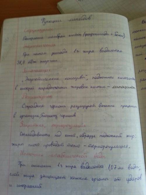 Углеводы, липиды их состав и роль в клетке. классификация углеводов.