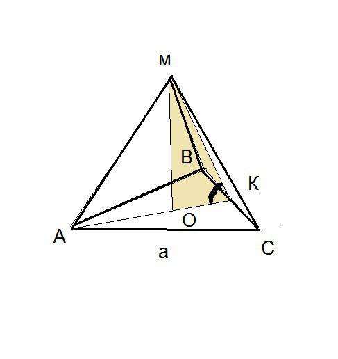 Найдите объём правильной треугольной пирамиды,сторона основания которой равна а,а боковая грань об