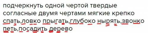 Подчеркнуть одной чертой твердые согласные двумя чертами мягкие крепко спать,ловко прыгать,глубоко н