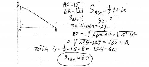 Катет 15, гипотенуза 17, s-? прямоугольник треугольный