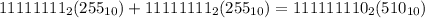 11111111_{2}(255_{10}) + 11111111_{2}(255_{10}) = 111111110_{2}(510_{10})