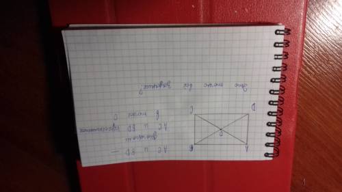 Начерти на клечетой бумаги прямоугольник проведи его дигонали отметь точку пересечения диогоналей