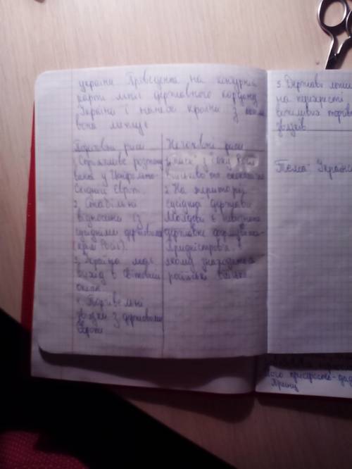 Позитивні і негативні риси економіко-ічного та геополітичного положення україни.