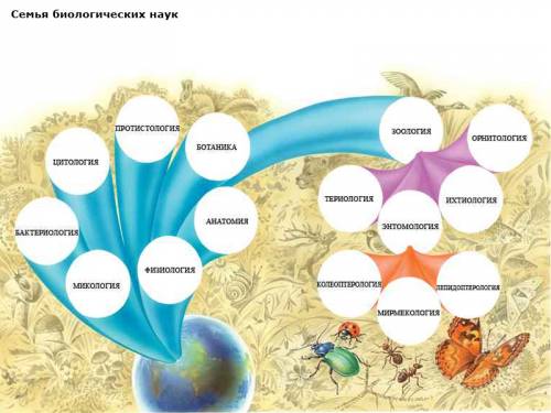Закиньте схемы наук о природе 34 б. за лучший ответ