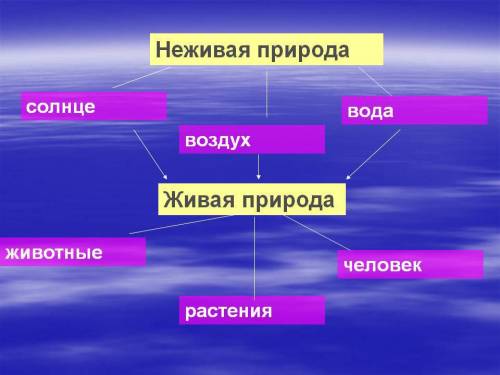 Схема как взаимосвязаны между собой элементы живой и неживой природы