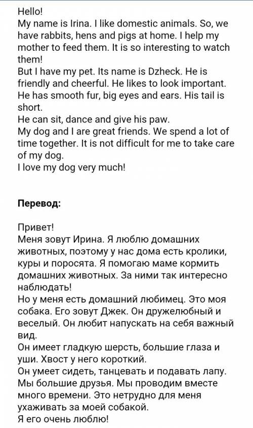 Напишите небольшое сочинение на тему my pet friends