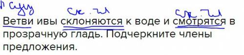 Ветви ивы склоняются к воде и смотрятся в прозрачную гладь. подчеркните члены предложения.