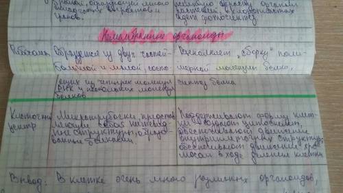 Таблица по биологии 9 класс органоиды клетки и их функции их строения особенности первый столбик наз