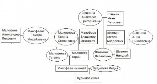 Составьте геологическое древо. прадедушка по папиной линии малофеев александер петрович ,прабабушка