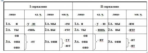 Подскажите как спрягать глаголы (если можно образец)