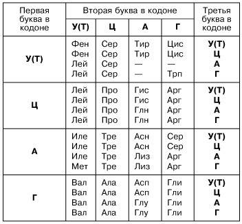 Решить : последовательность нуклеотидов фрагмента одной цепи днк ттацгтццагтгагтац. в результате мут