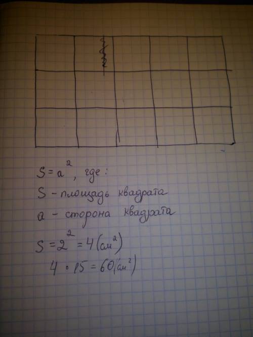 Нарисуй на клетчатой бумаге прямоугольник со сторонами 10 см и 6 см. измерь его площадь, выбрав в ка