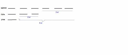 Как правильно второклассник должен записать решение: гусь тяжелее утки на два кг ,но легче щенка на