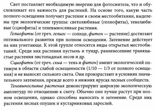 Вчем заключаются особенности теневыносливых листьев