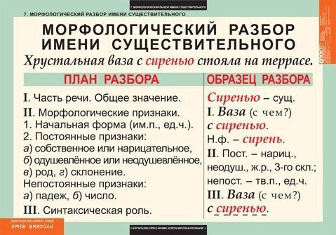 Белка взобралась на верхнюю ветку ели. сделать морфологический разбор слова ели. заренее ❤