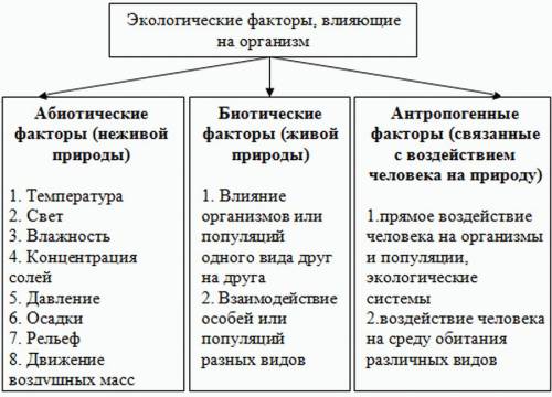 Мини конспект экологические факторы и их влияние на живые организмы