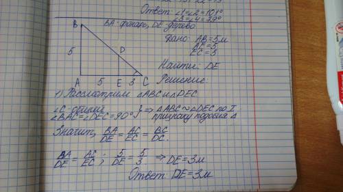 Дерево находится на растоянии 5 шагов от фонаря высотой 5 м,даёт тень равной 3м. найти высоту дерева