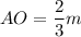 AO=\dfrac{2}{3}m