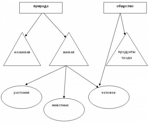 Схема показывающий пример между живой и не живой прирлдой