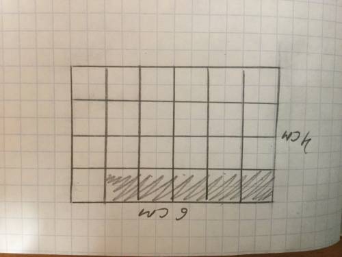 Построй прямоугольник со сторонами 4см и 6 см заштрихуй простым карандашом 5/24 части данного прямоу