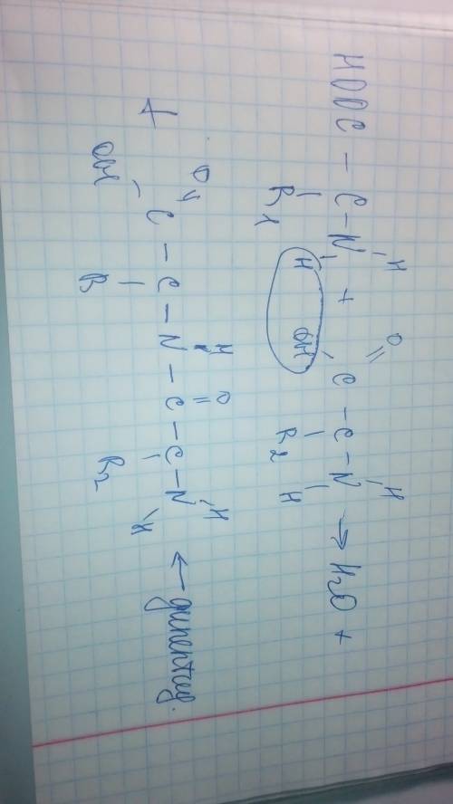 Напишите схему реакции образования дипептида