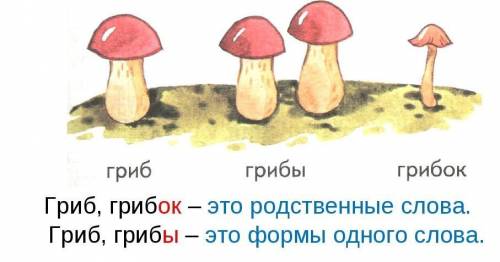 Попробуйте объяснить, чем родственные слова отличаются от форм одного и того же слова. подсказкой те