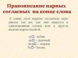 Три слова с орфограммой парная согласная в конце слова