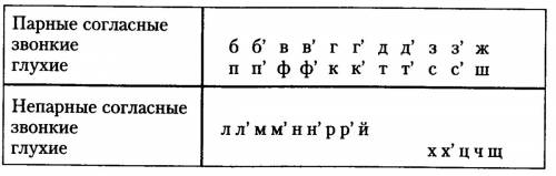 Найди и подчеркни звонкие согласные одной чертой глухие двумя обрати внимание на место парных соглас