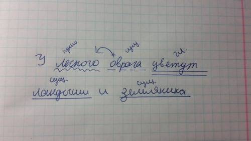 Разобрать на члены предложения ,,у лесного оврага цветут ландыши и земляника.