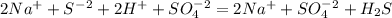 2Na^++S^-^2+2H^++SO_4^-^2=2Na^++SO_4^-^2+H_2S