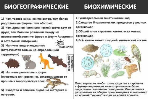 Доказательства эволюции органического мира и происхождение человека.?