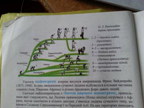 )просмотрите таблицу номер 1 и выпишите морфологические признаки и функциональные особенности скелет