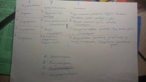 Мног ! не ! докажите что не ! 4 отдела : моховидные, плауновидные, хвощевидные, папоротниковидные за