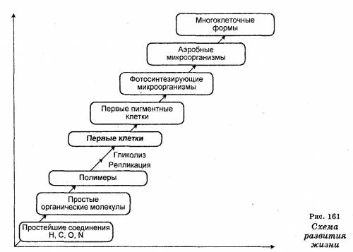 Составить план-схему к теме возникновение и развитие жизни на земле