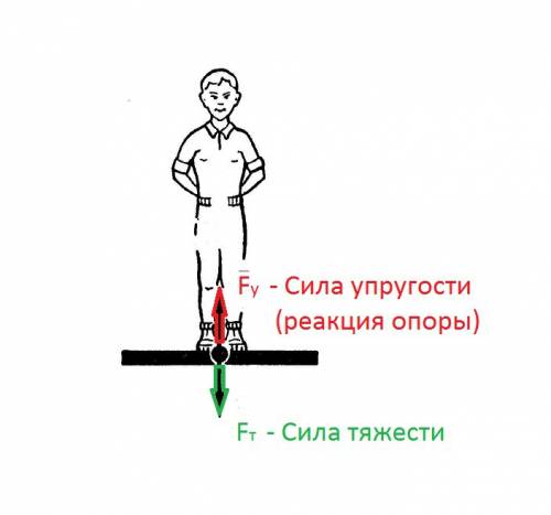 Изобразить на листе силы которые действуют на вас когда вы стоите на полу 99