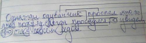 Разбери преложения полностью! однажды одуванчик проспал много дней подряд. когда он проснулся , то у