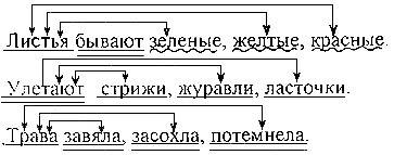 Покажите графическую связь членов предложение