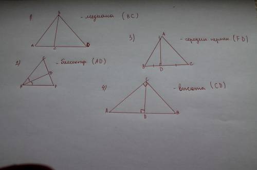 С! нужно начертить 4 прямоугольных треугольника в 1 отметить медианы ; во 2 биссектрисы ; 3 высоты ;