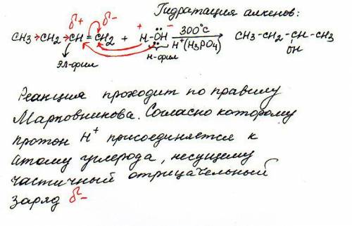 Написать : бутен-1+h2o зарание ))