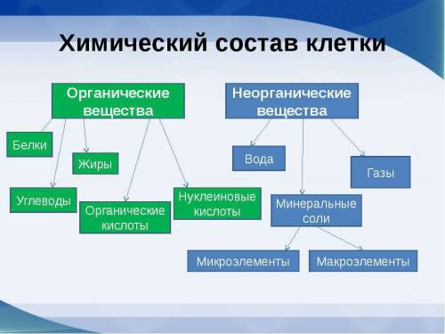 Состав клетки таблица по биалогии 5 класс