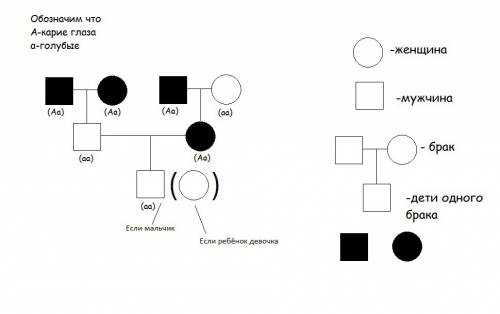 Реши по генетике человека и составь родословную. у человека карие глаза определяются доминантным ген